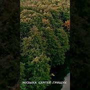 Сергей Грищук Сплетение Звездных Нитей В Колыбели Вечности Звуки