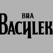 Виа Василёк