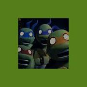 Teenange Mutant Ninja Turtles 2012 Song Slowed