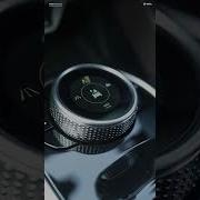 Safari Asmr