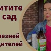 Как Защитить Сад И Огород От Вредителей И Болезней