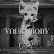 Your Body Cat Dealers