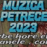 Colaj De Muzica De Petrecere Mp3