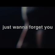 I Wanna To Forget You