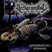 Necrocannibal Somnambuliformic Possession Full Album