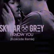 Skylar Grey I Know You Kaskade Remix