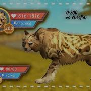 Wildcraft 200 Level Cheetah Вилд Крафт 200 Уровень Гепард