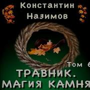 Константин Назимов Травник 6