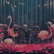 Arrange Ver Flamingo