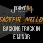 Backing Track Em