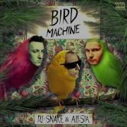 Bird Machine