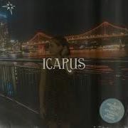 Icarus Luvbug