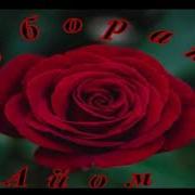 Фаромузи Акдод 2019 А Нан Тут Чони Чон Мурд