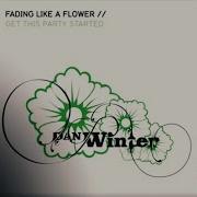 Dan Winter Fading Like A Flower