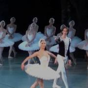 Лебединое Озеро В Обработке Swan Lake