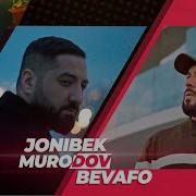 Чонибек Муродов Бевафо Ман