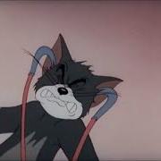 Mouse Trouble Sudzu Animator