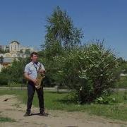 Sting Fragile Саксофон Андрей Романенко Outdoors Walking With Saxophone