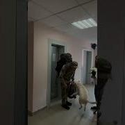 Долгожданная Встреча Влюблённых