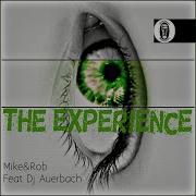 The Experience Feat Dj Auerbach