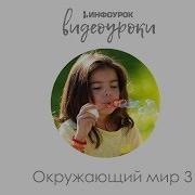 Климатические Пояса Земли Окружающий Мир 3 Класс 4 Инфоурок