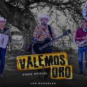 Los Manueles Valemos Oro