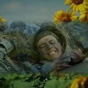 Владимира Кораблина Песня Подсолнухи