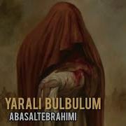 Yarali Bulbulum