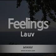 Feelings Karaoke Version Lauv Instrumental Lyrics