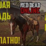 Red Dead Online Лучшая Лошадь Бесплатно Ps4