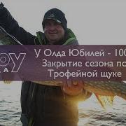 У Олда Юбилей 100 Закрытие Сезона По Трофейной Щуке Шоуолда 100