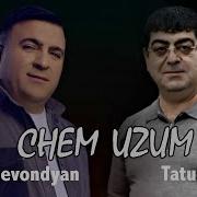 Tatul Hovo Uzum Em Chem Uzum