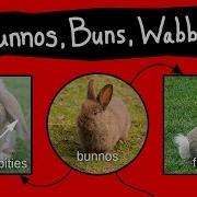 Bun Buns