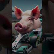 Porco Electronico