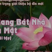 Kinh Kim Cang Bát Nhã Ba La Mật Giảng Ký Tập 179 Pháp Sư Tịnh Không