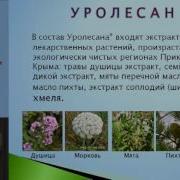 Природные Эстрогены Руденко
