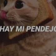 Ay Mi Pendejo Remix 10 Часов