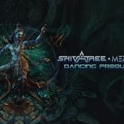 Shivatree Mercuroid Dancing Frequencies Original Mix