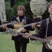 Paperback Writer