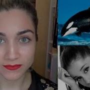 Ariana Grande Y Las Orcas Ter