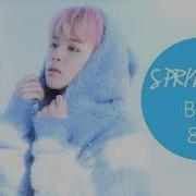 Bts Spring Day 10D