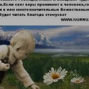 Плоды Веры Рисале И Нур Саид Нурси