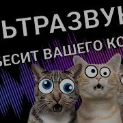 Звук Отгоняющий Кошек