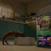 Purina Dog Chow Publicidad