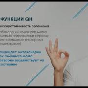 Презентация Продукции Beverlee Club