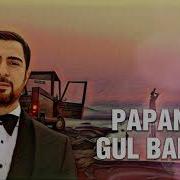 Papanin Gül Balası Basss