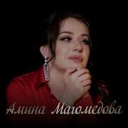 Амина Магомедова Элелей