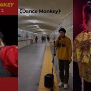 Dance Monkey Cover Tiktok China