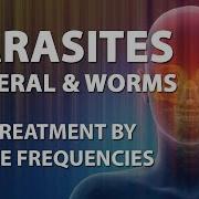 Parasites Rife Freguencies Treatment Energu Quantum Bioresonance