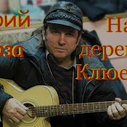 Лоза Над Деревней Клюевкой